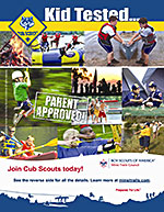 Cub Scout flyer